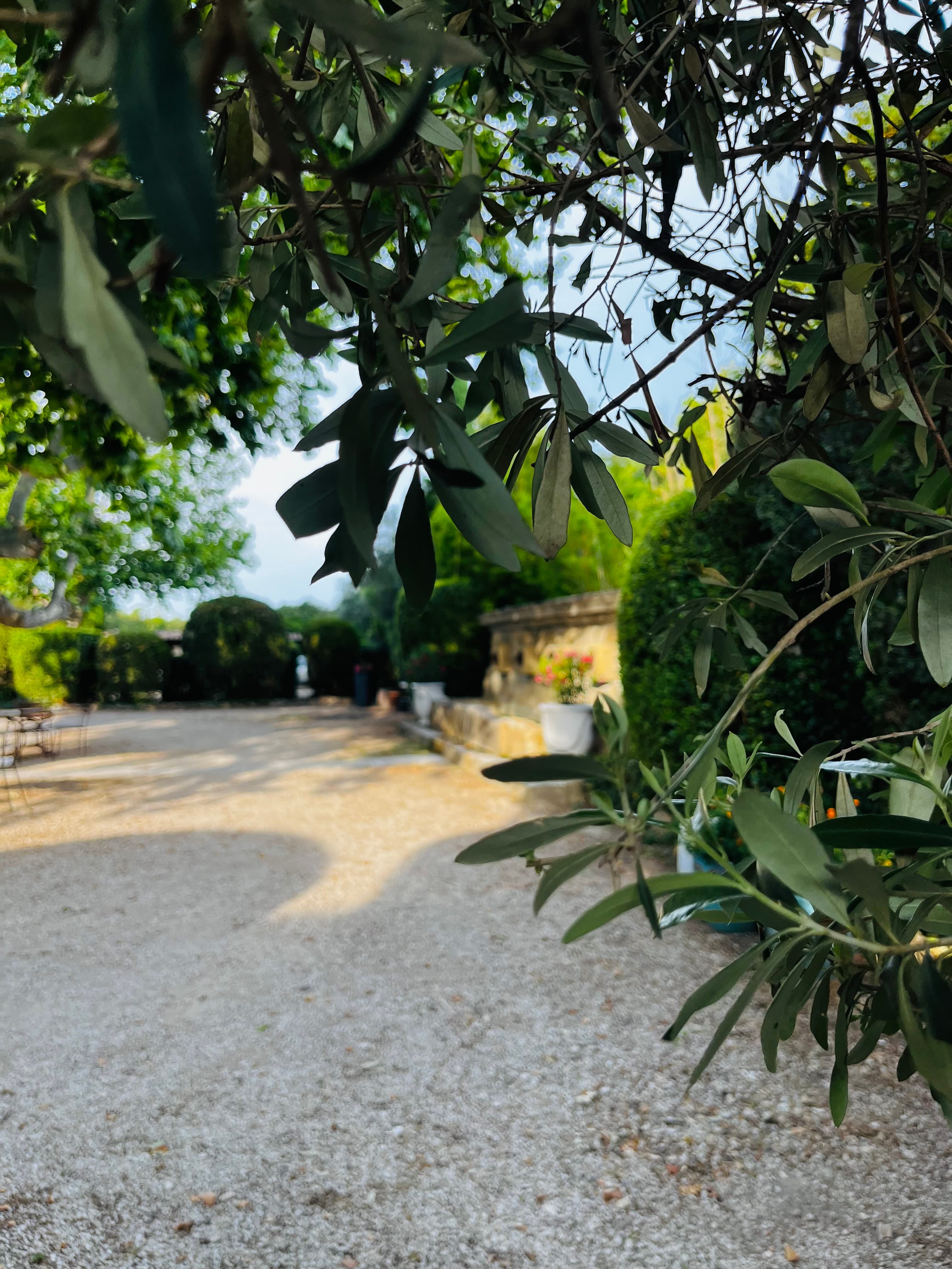 Tarifs — Mas des 4 Fontaines